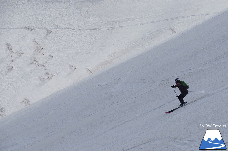 DYNASTAR SKI series Test Ride Days 2017 in ニセコユナイテッド【Day.2】～ニセコグラン・ヒラフ～